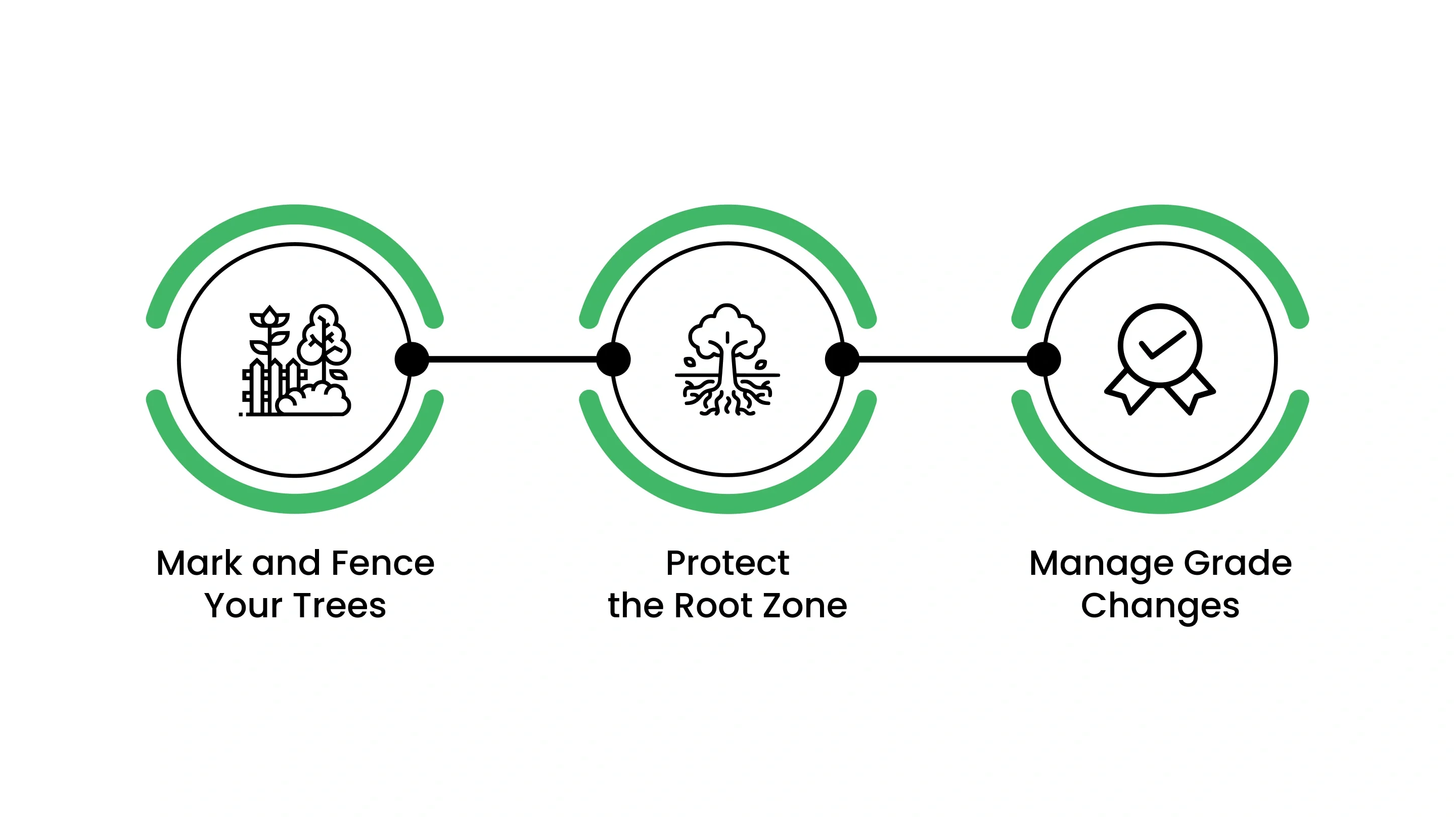 How to Actively Protect Trees During Construction