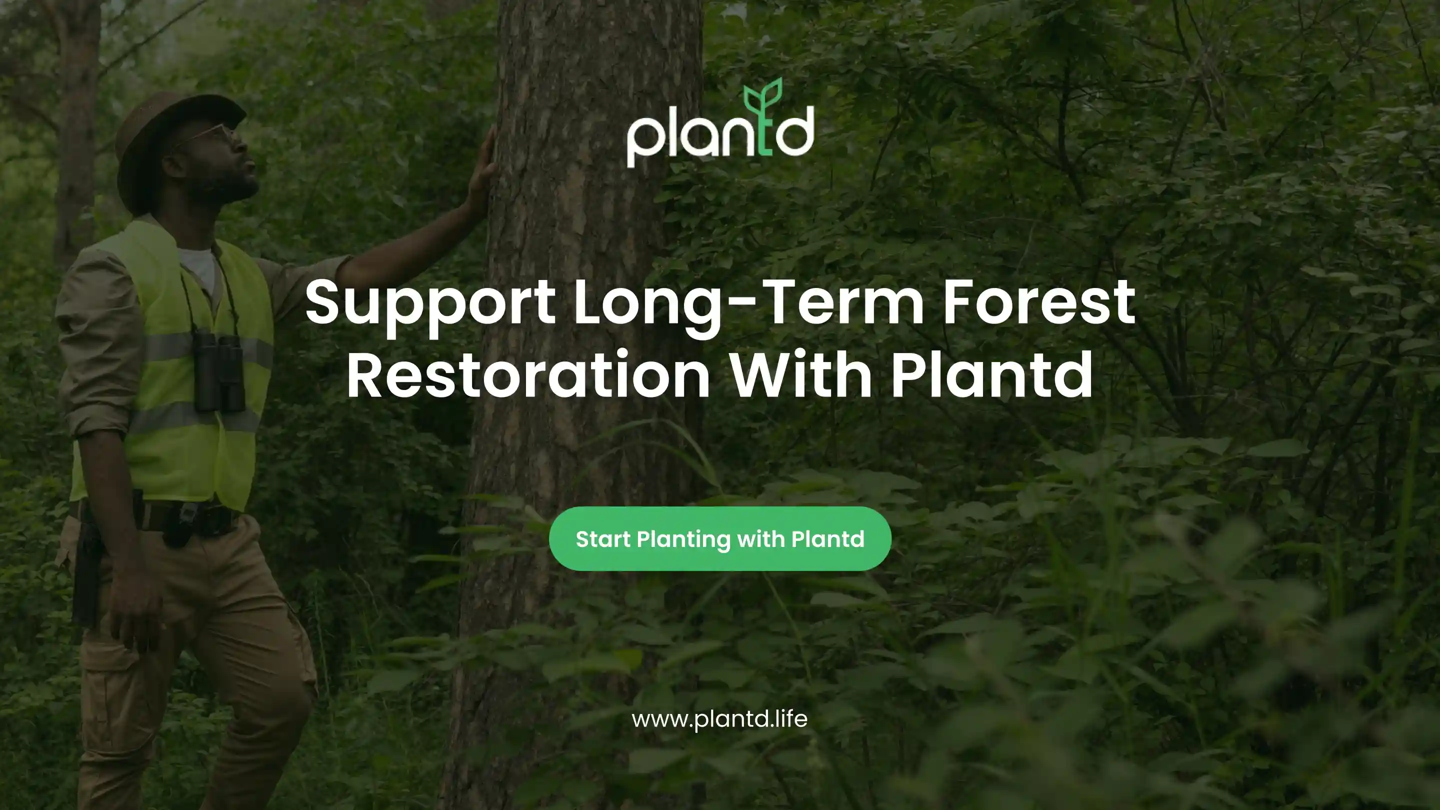 Support Long-Term Forest Restoration With Plantd 