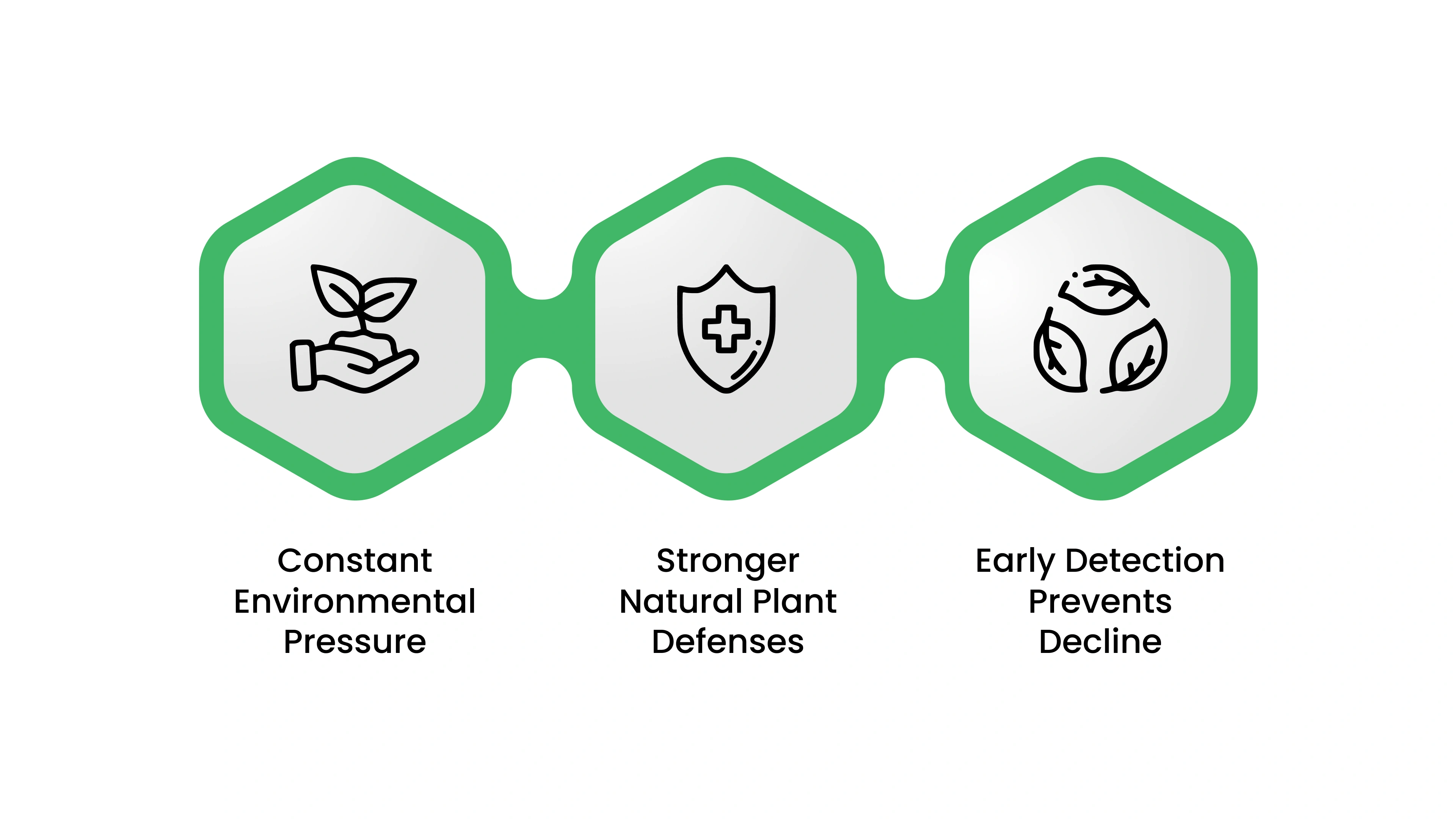 Why Proactive Plant Care Matters More Than Ever