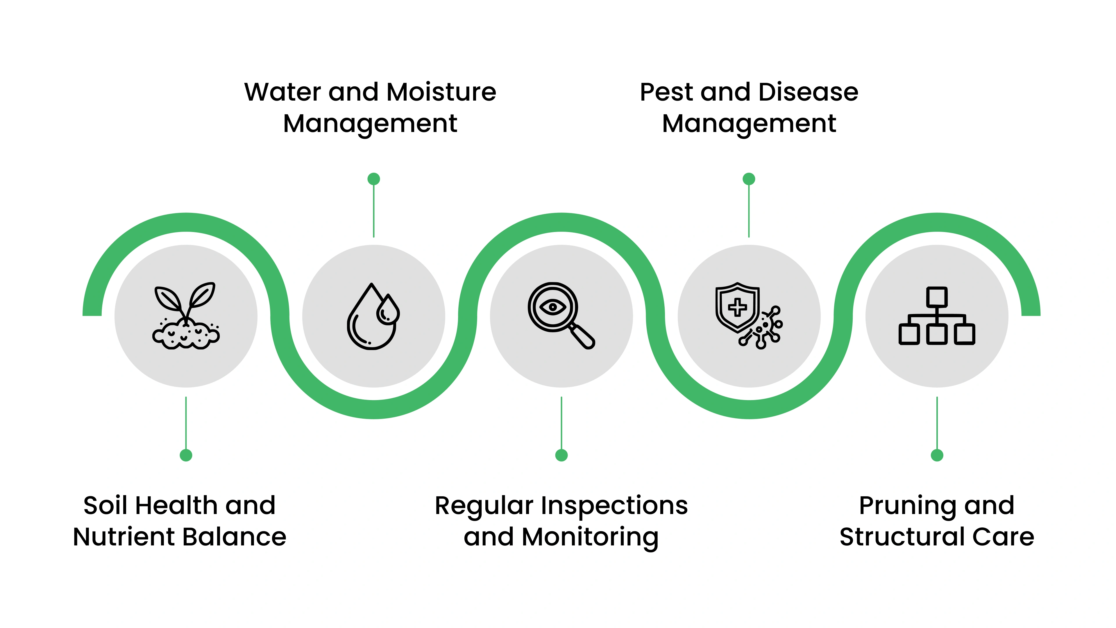 What Preventive Plant Care Looks Like in Practice