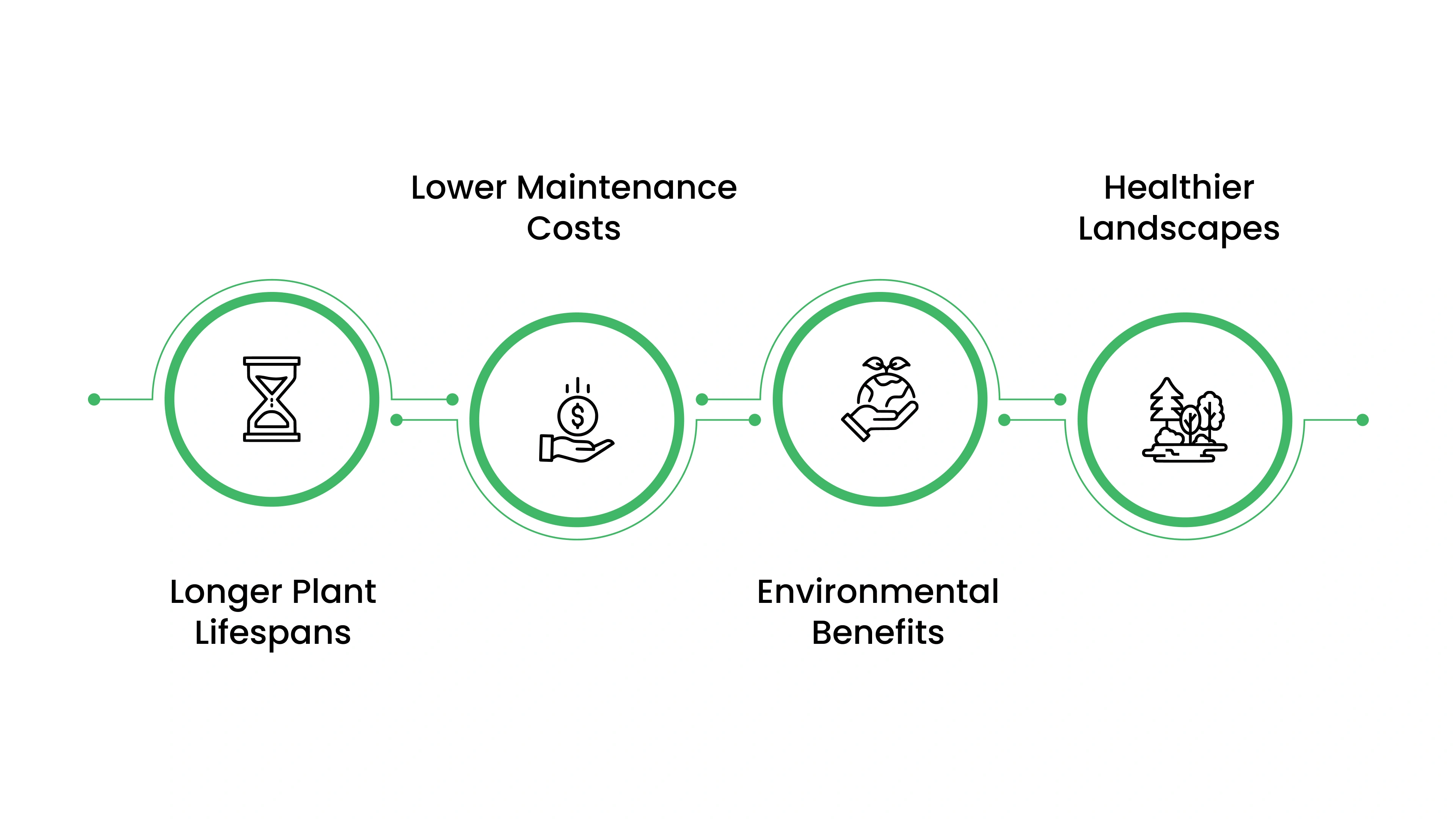 The Long-Term Benefits of Preventive Plant Health Care