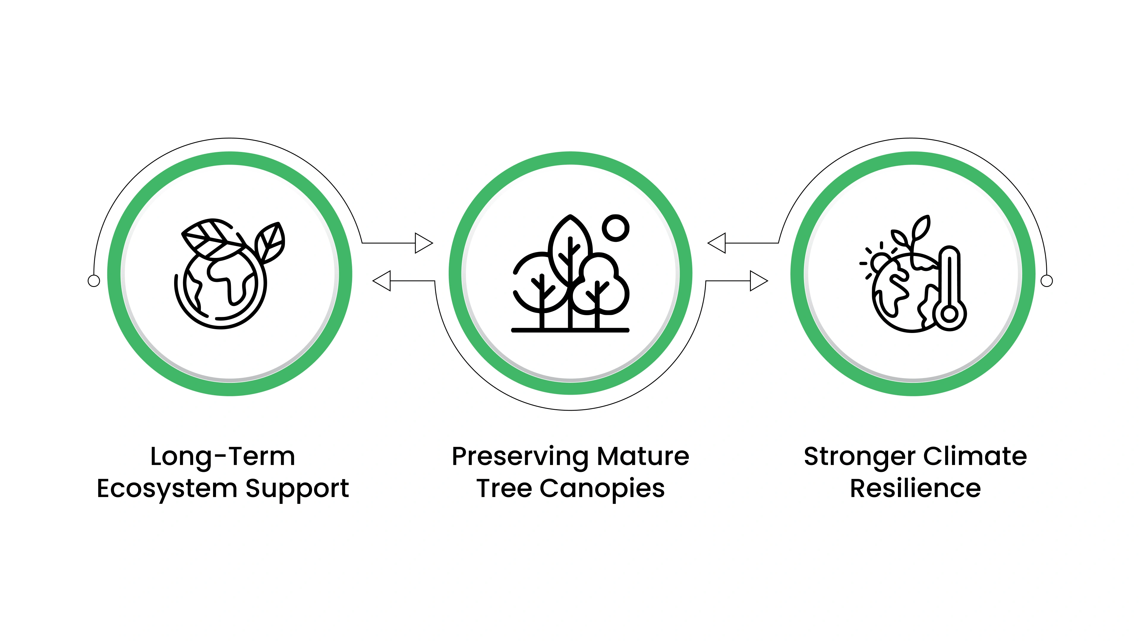 How Preventive Plant Health Care Supports Reforestation & Sustainability
