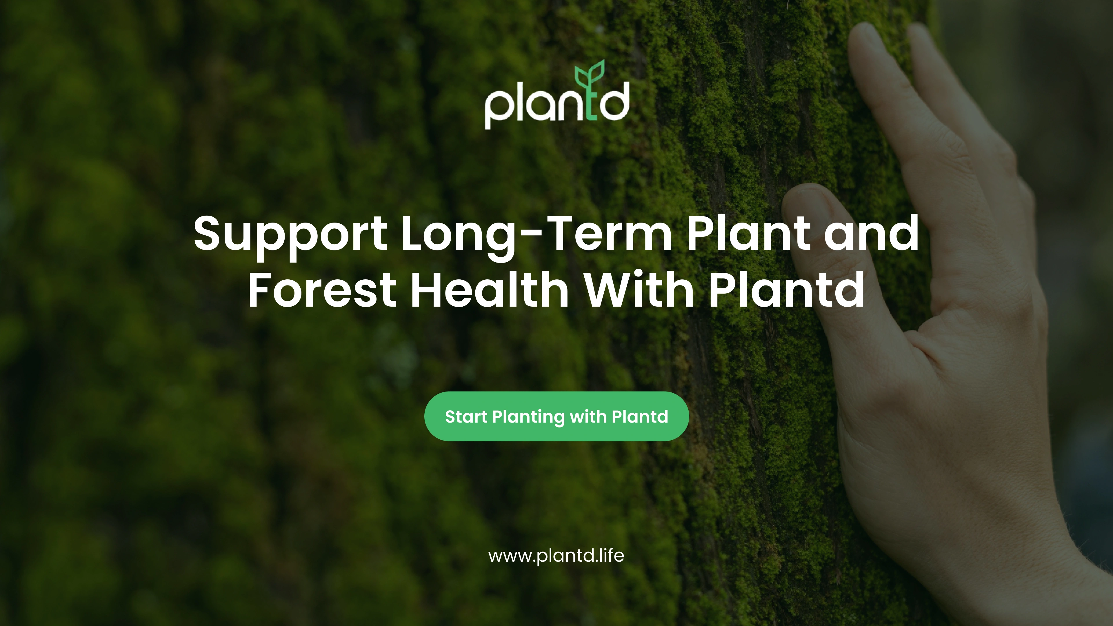 Support Long-Term Plant and Forest Health With Plantd